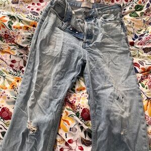 Everlane Straight Jeans in Faded Blue